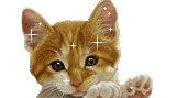  glitter kittens animation