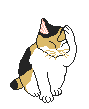 cat washing animation