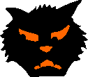 black cat  animation