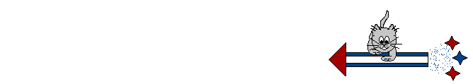 cat on a rocket  animation
