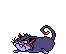 scared cat animation