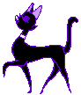 strutting cat animation