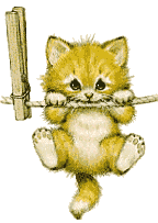 cat on washing line animation