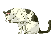 cat peeping  animation