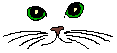 cat  animation