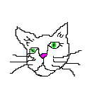 cat animation