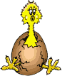 chick bouncing ball animation