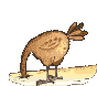 egg with chick animation