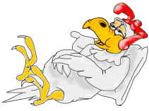 laying down rooster animation