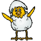 chick animation
