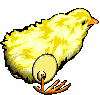 clockwork chick animation