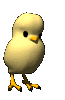 chick bouncing animation