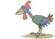 chicken animation