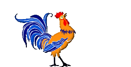 rooster animation