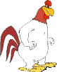 rooster animation