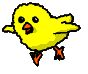 chick animation