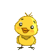chick animation