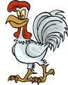 rooster animation