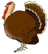 turkey animation