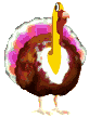 turkey animation
