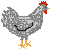 grey hen animation