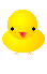 chick animation
