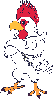 rooster animation