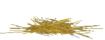 hen on nest animation