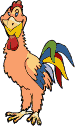 rooster animation