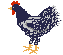 hen animation