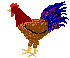 hen animation
