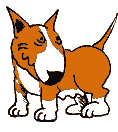 english bull terrier animations