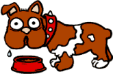 dog eating animations