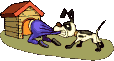 dog tugging animations