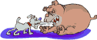dog pulling animations