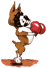 boxer animations