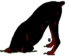 doberman animations