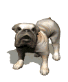 barking dog animations