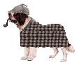 St. Bernard Dog with cape capand pipe animations
