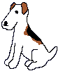 wire haired terrier animations