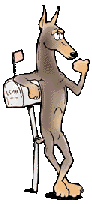  dobermananimations