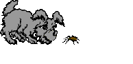 doggy animations