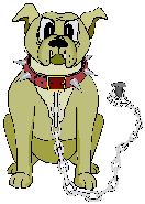 dog chain and collar animations