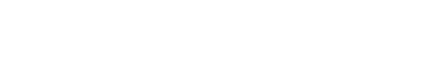 flying dragon  animation