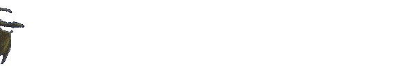 flying dragon  animation