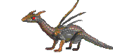 fire fire dragon  animation