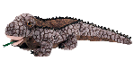 kimodo dragon  animation
