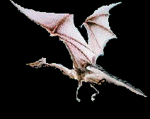 silver dragon animation