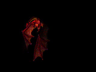 red dragon animation