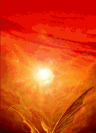  dragon and sun animation